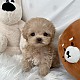 http://ssagae-ssagae.co.kr/data/file/b0102/thumb-31462978_T1YX9Bxg_93fd4e450f22fb5620a163119967d294ad6dbbcc_80x80.jpg