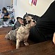 http://ssagae-ssagae.co.kr/data/file/b0102/thumb-3731641422_2crKj5nm_d3c1a00c4c21bf82f7b96be570040692e4ad5b92_80x80.jpg