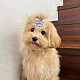 http://ssagae-ssagae.co.kr/data/file/b0102/thumb-3731641422_PMsqZH0o_baaa6ada7ffc5ced603e085b97627a85f611fe7d_80x80.jpg