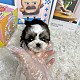 http://ssagae-ssagae.co.kr/data/file/b0103/thumb-3739936228_GMn2LaVF_f162184101f3f89767a27e2137c888db1010f7e8_80x80.jpg