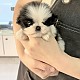 http://ssagae-ssagae.co.kr/data/file/b0104/thumb-3739936228_2VtTgbrK_a296de7587e26943134fc545ac33cc7fb9ade26e_80x80.jpg